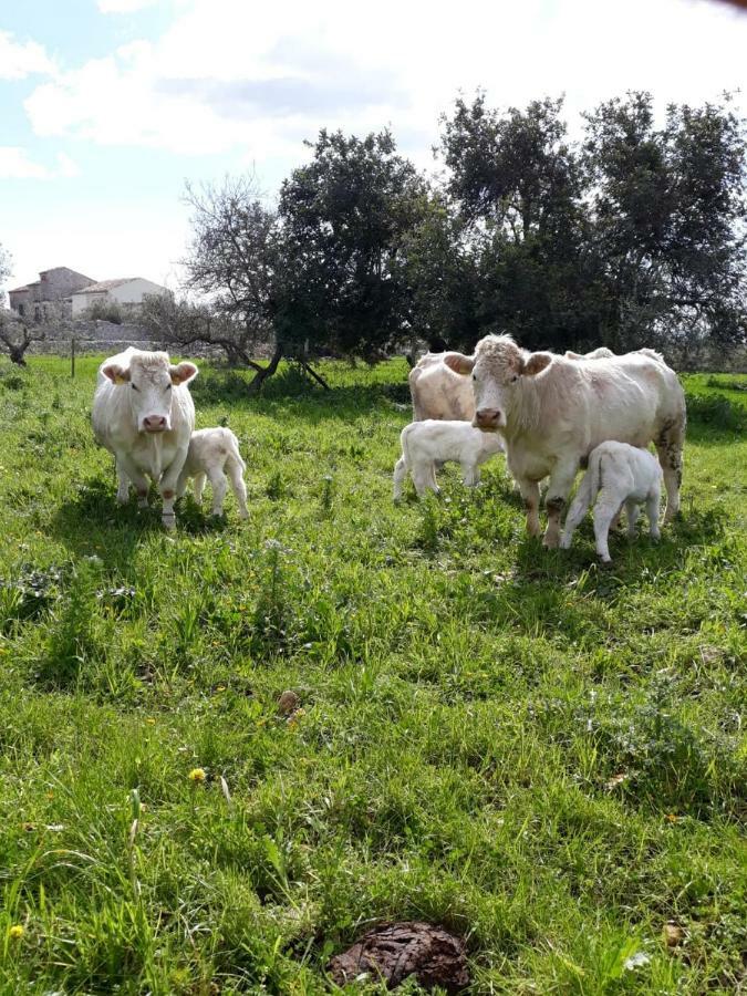 La Dimora Del Decano Villa Scicli Bagian luar foto